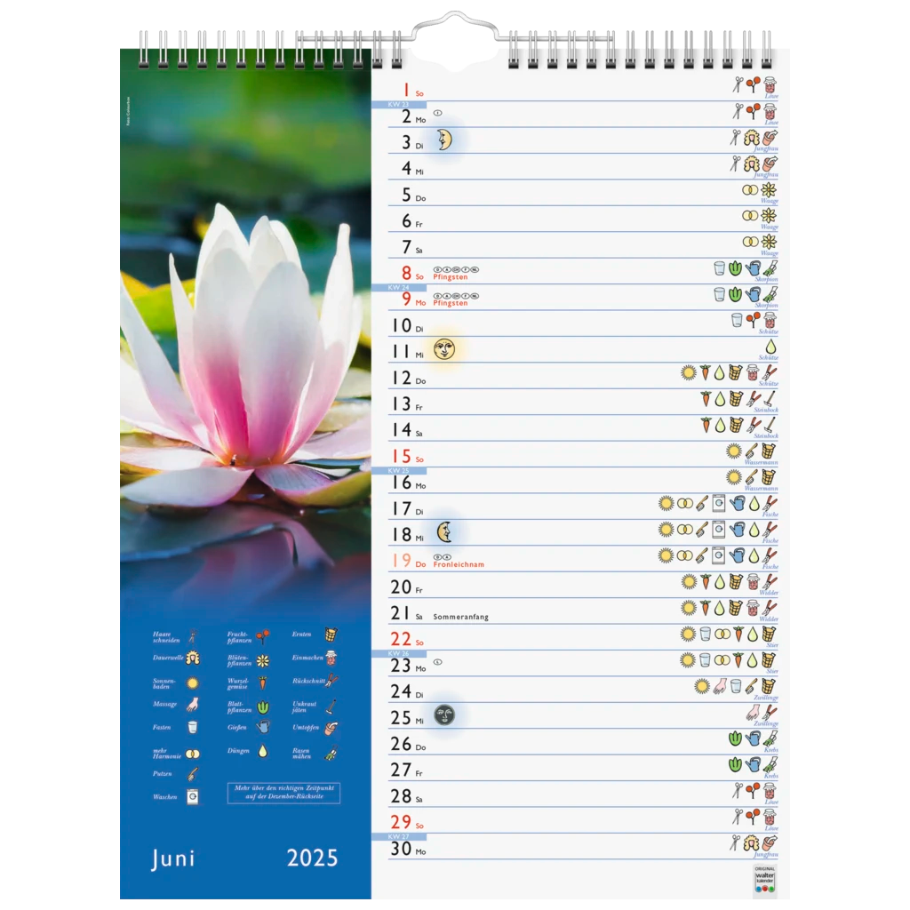 Bildkalender '25 „Mond“ | 245×310 mm