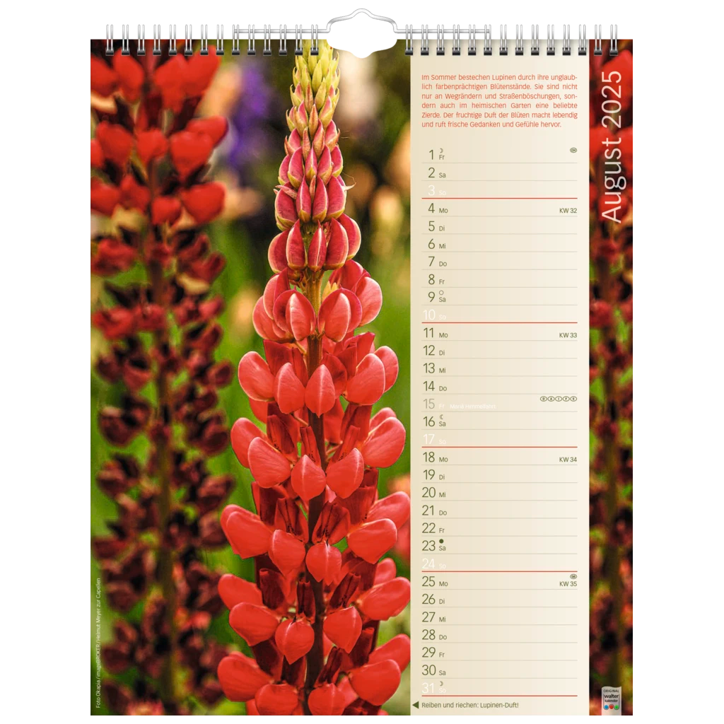 Bildkalender '25 „Erlebniswelt der Düfte“ | 245×310 mm