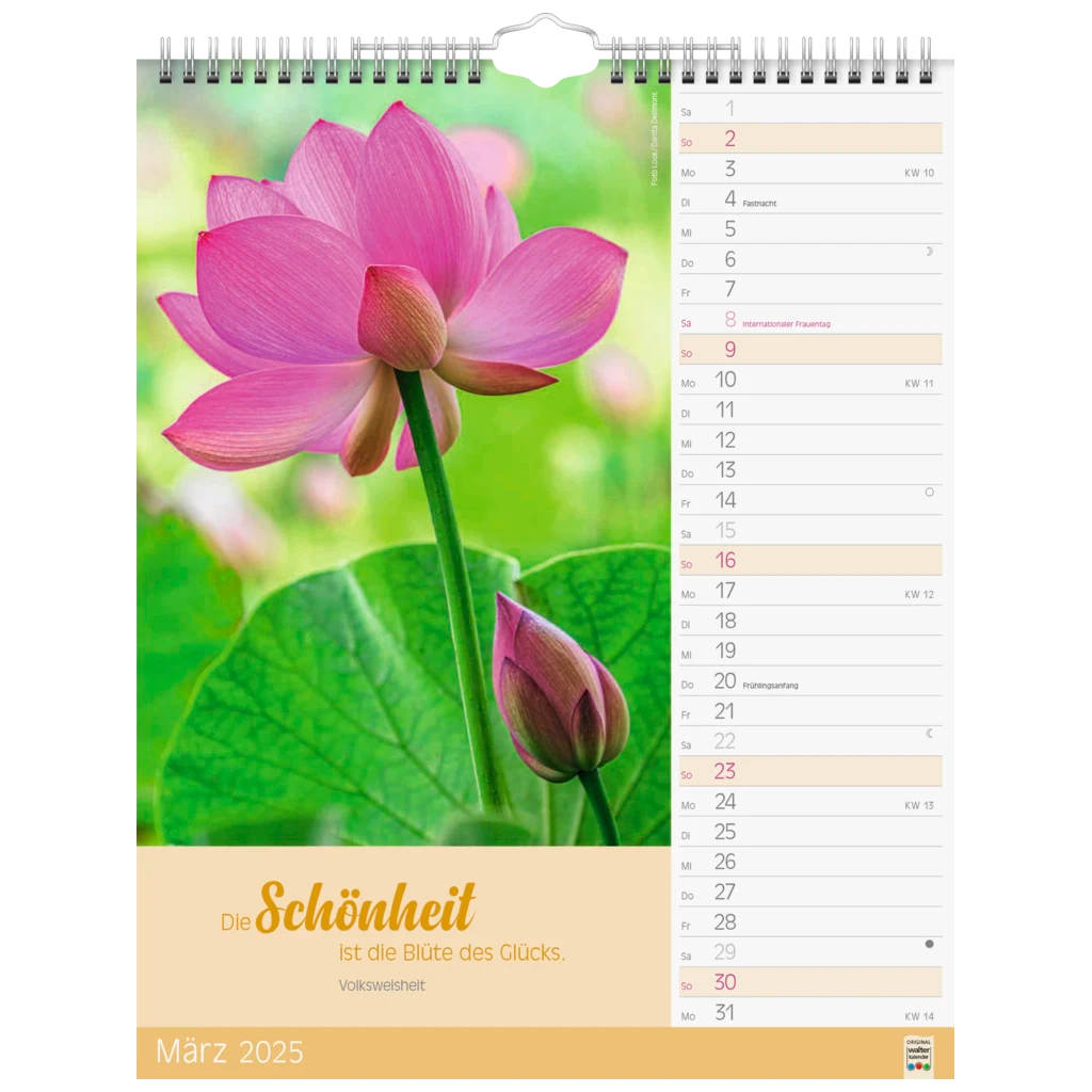 Bildkalender '25 „Ruhepause“ | 245×310 mm