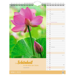 Bildkalender '25 „Ruhepause“ | 245×310 mm