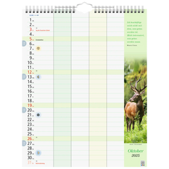 Bildkalender '25 „Familienkalender“ | 245×310 mm