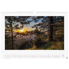 Bildkalender '25 „Lichtimpressionen“ | 490×340 mm