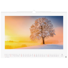 Bildkalender '25 „Lichtimpressionen“ | 490×340 mm