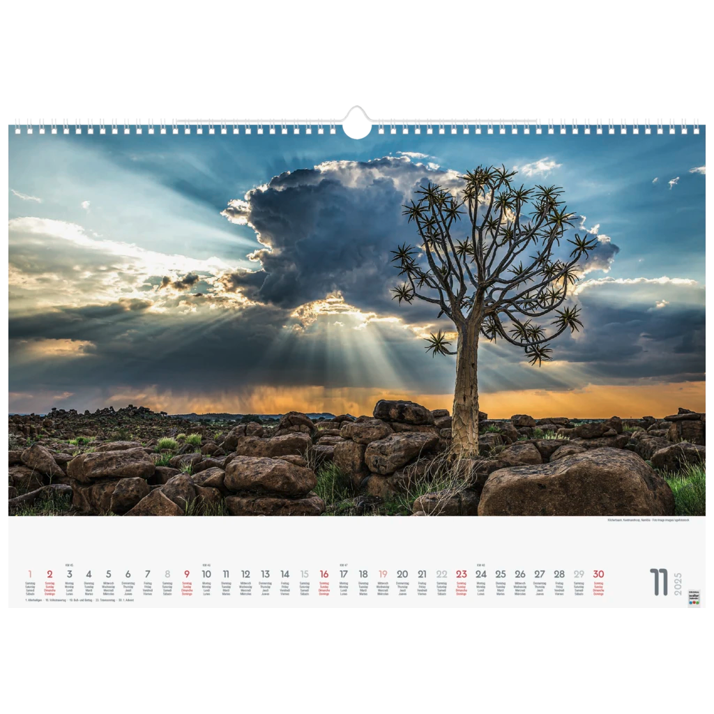 Bildkalender '25 „Wunderwerke der Natur“ | 490×340 mm