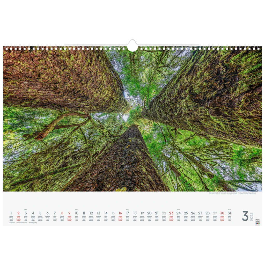 Bildkalender '25 „Wunderwerke der Natur“ | 490×340 mm