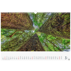 Bildkalender '25 „Wunderwerke der Natur“ | 490×340 mm