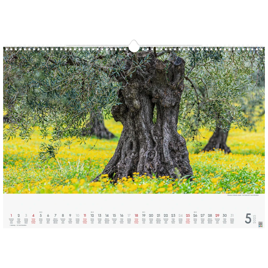 Bildkalender '25 „Wunderwerke der Natur“ | 490×340 mm