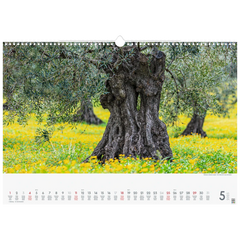 Bildkalender '25 „Wunderwerke der Natur“ | 490×340 mm