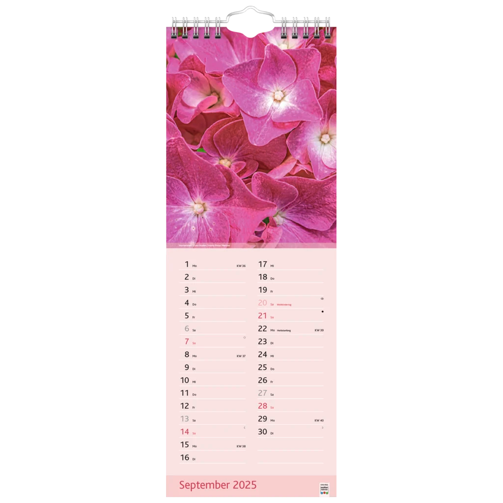 Bildkalender '25 „Blütenzauber“ | 155×428 mm