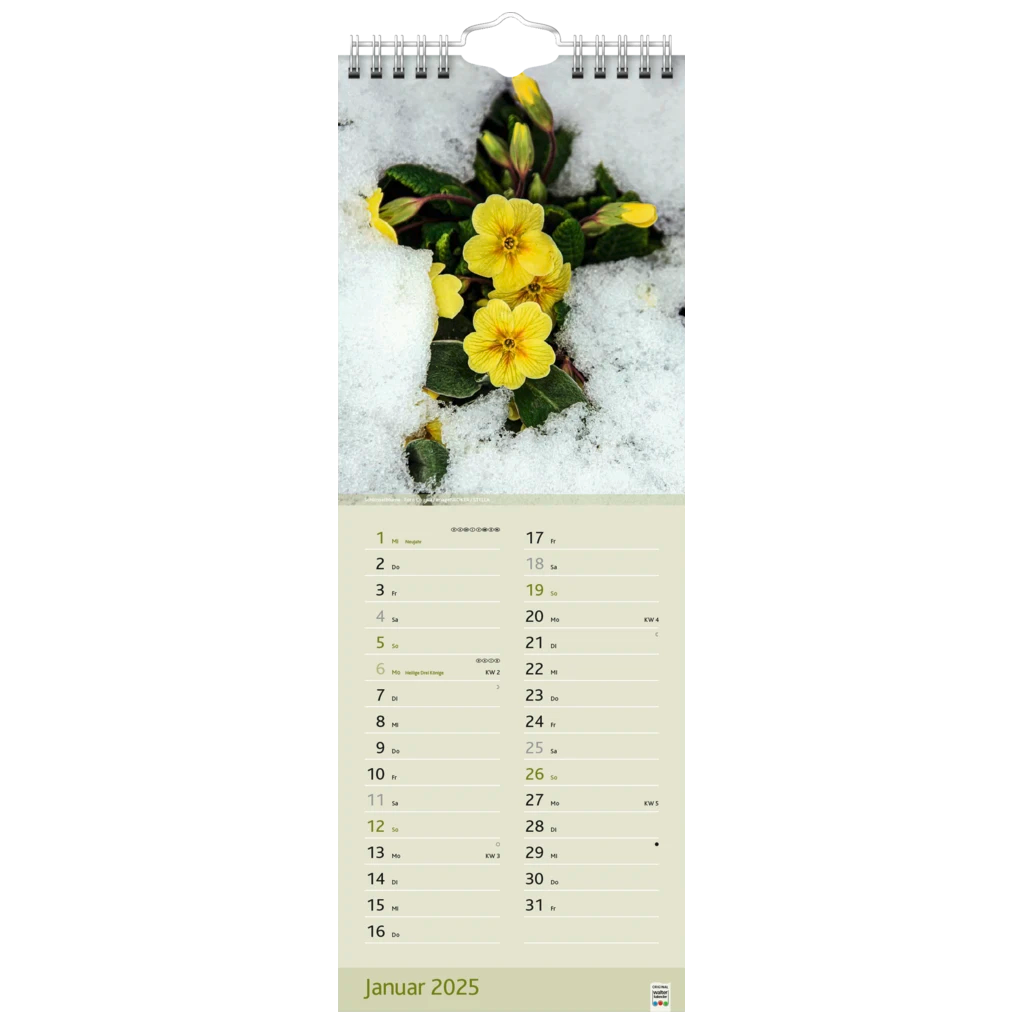 Bildkalender '25 „Blütenzauber“ | 155×428 mm