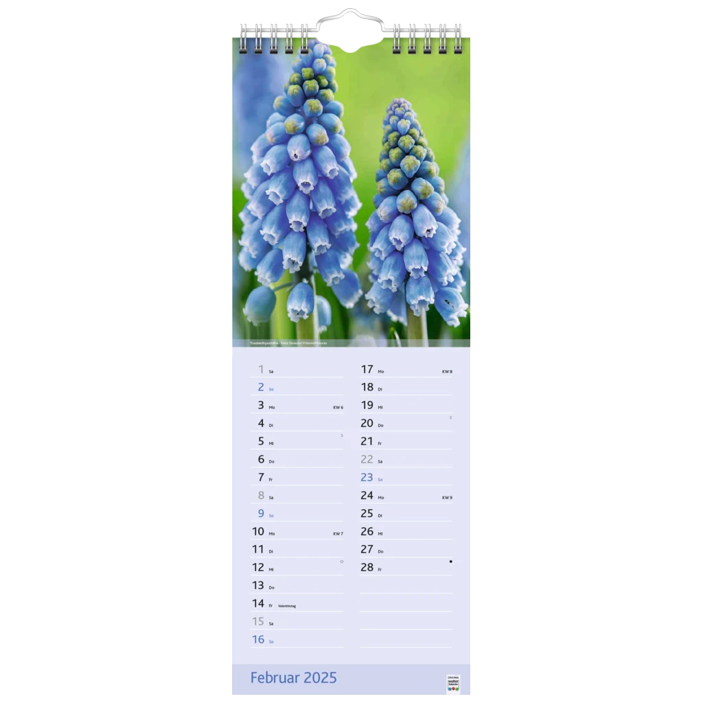 Bildkalender '25 „Blütenzauber“ | 155×428 mm