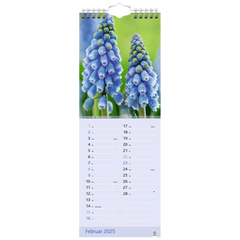 Bildkalender '25 „Blütenzauber“ | 155×428 mm