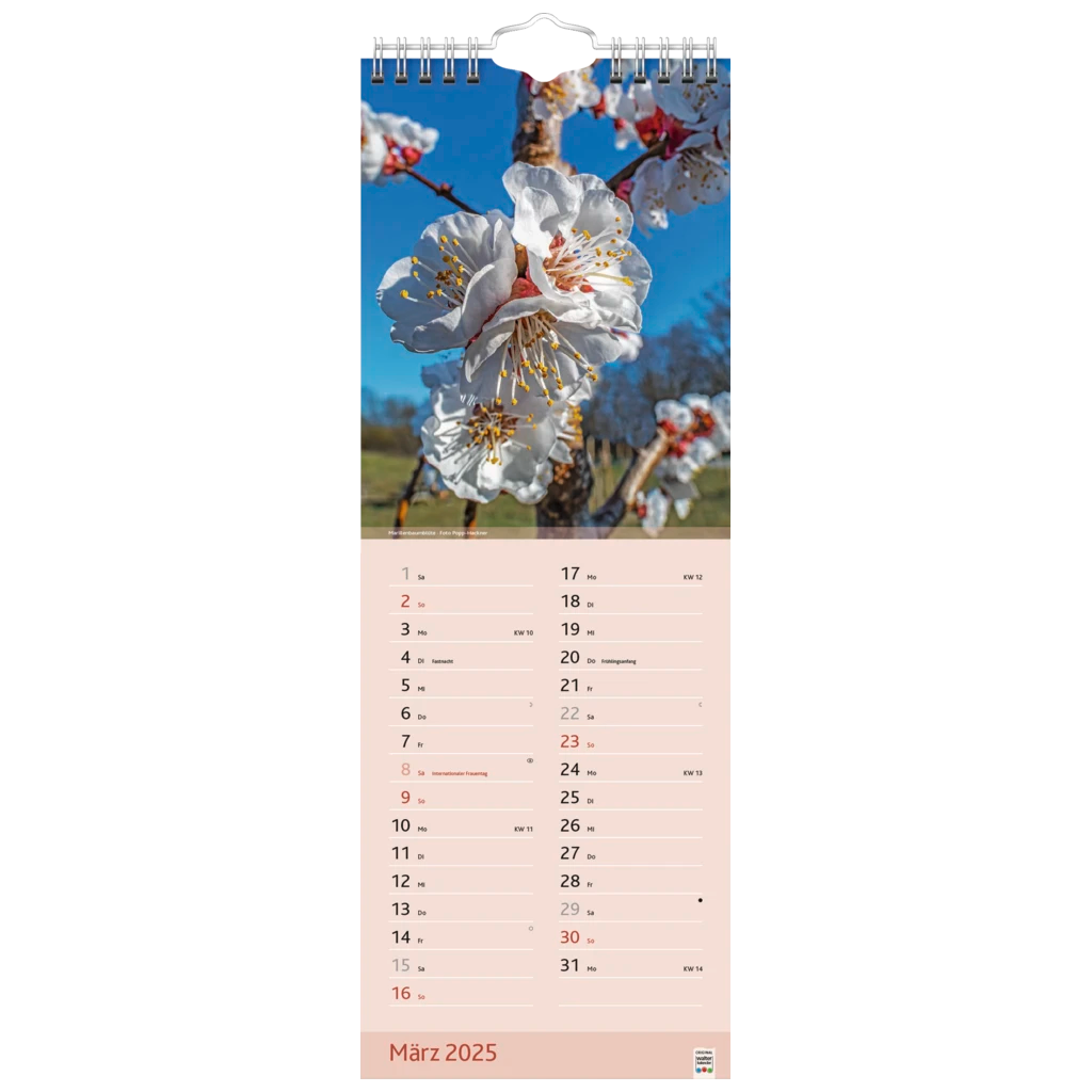 Bildkalender '25 „Blütenzauber“ | 155×428 mm