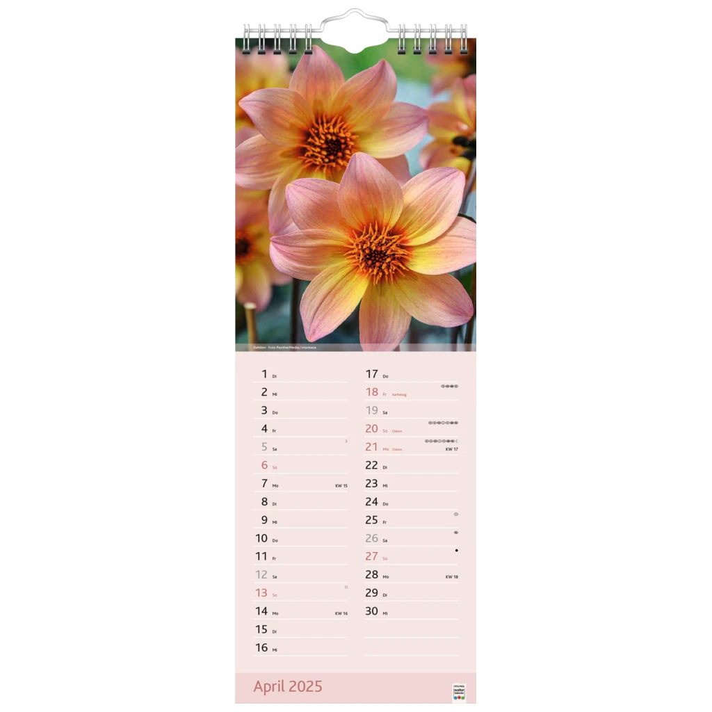 Bildkalender '25 „Blütenzauber“ | 155×428 mm