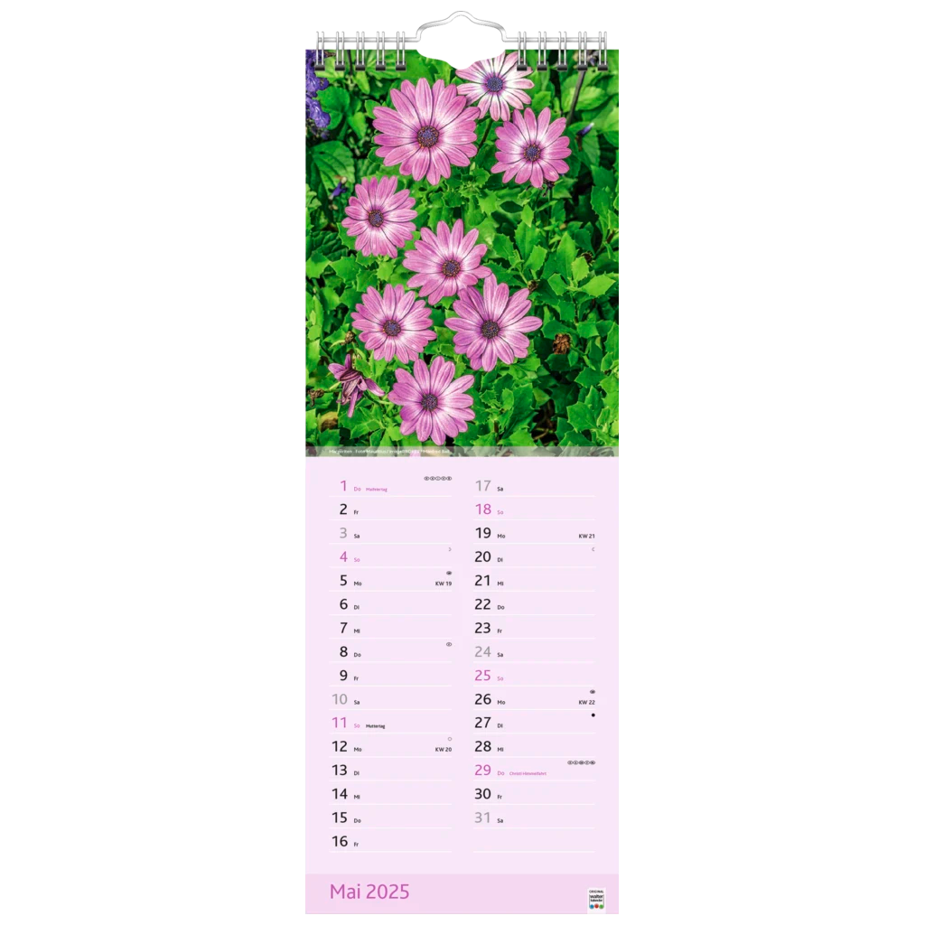 Bildkalender '25 „Blütenzauber“ | 155×428 mm