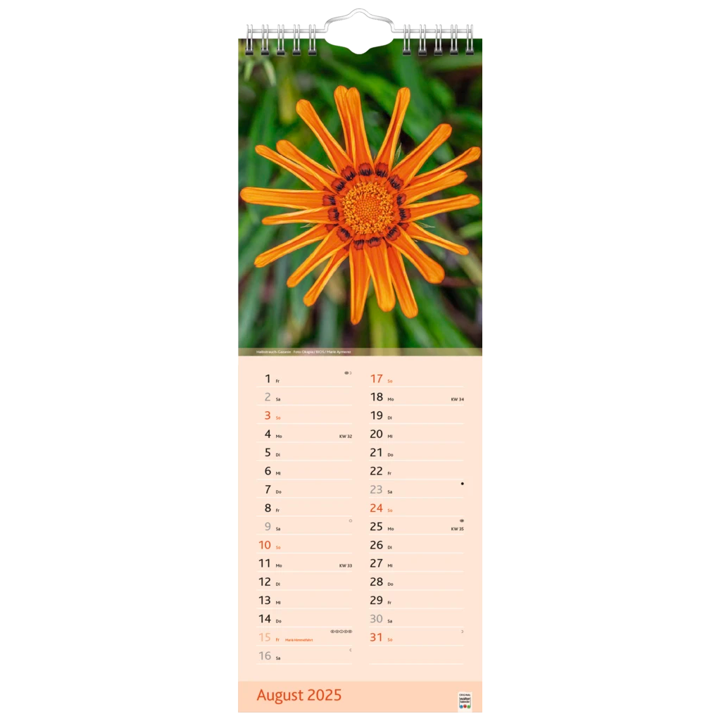 Bildkalender '25 „Blütenzauber“ | 155×428 mm