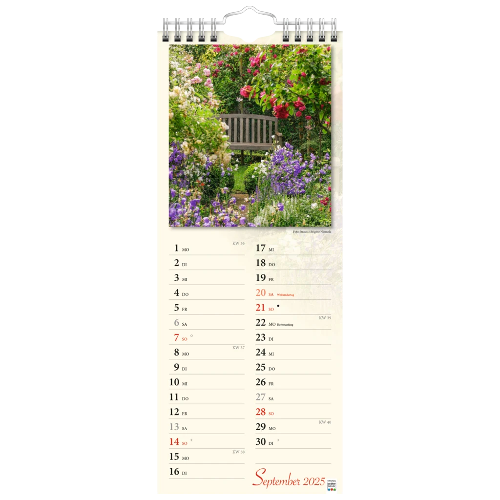 Bildkalender '25 „Verborgene Idylle“ | 155×385 mm