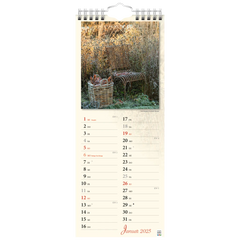 Bildkalender '25 „Verborgene Idylle“ | 155×385 mm