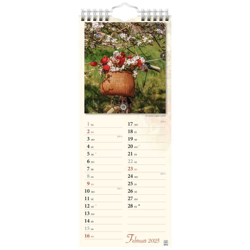 Bildkalender '25 „Verborgene Idylle“ | 155×385 mm