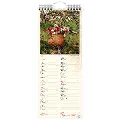 Bildkalender '25 „Verborgene Idylle“ | 155×385 mm