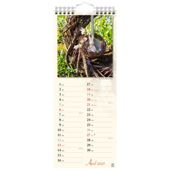 Bildkalender '25 „Verborgene Idylle“ | 155×385 mm