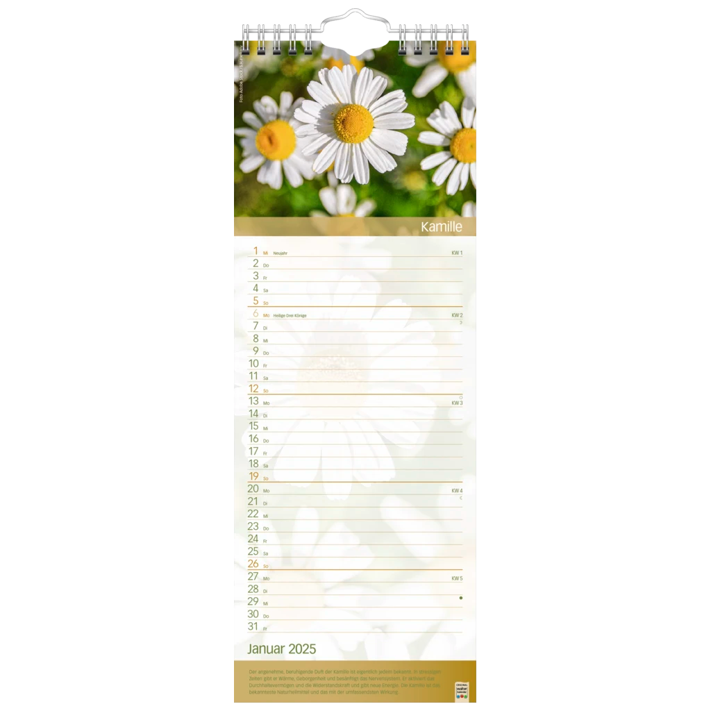 Bildkalender '25 „Erlebnsiwelt der Düfte“ | 155×428 mm