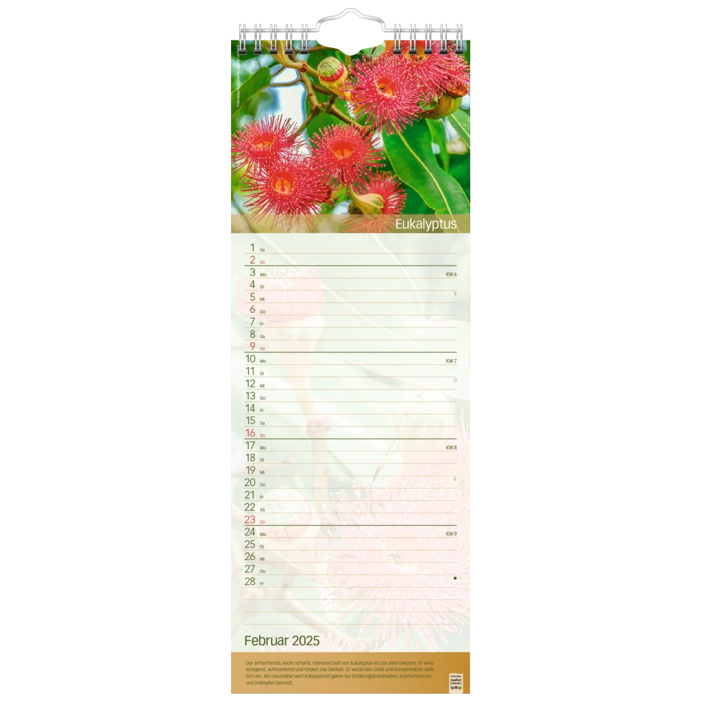 Bildkalender '25 „Erlebnsiwelt der Düfte“ | 155×428 mm