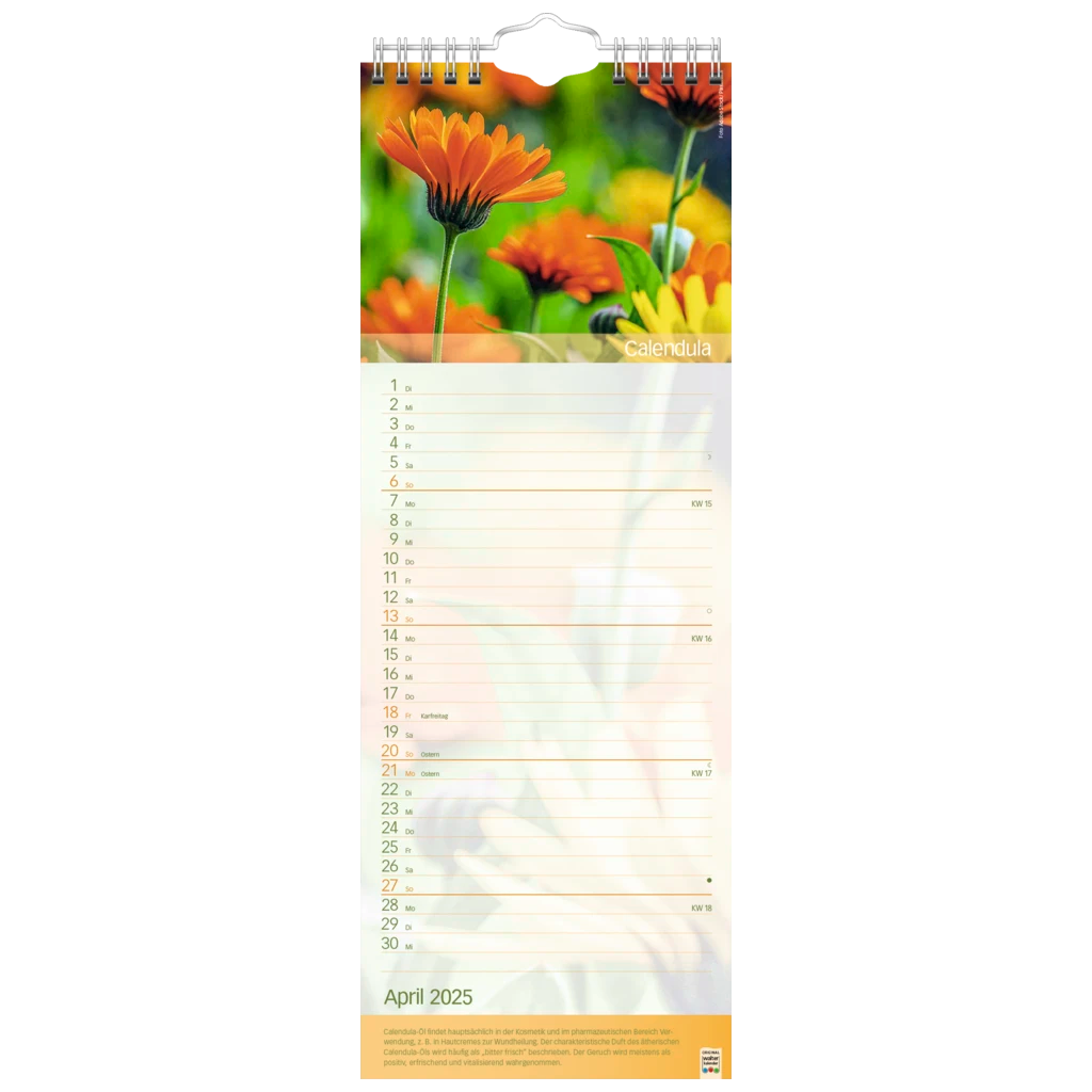 Bildkalender '25 „Erlebnsiwelt der Düfte“ | 155×428 mm