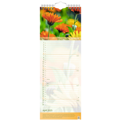 Bildkalender '25 „Erlebnsiwelt der Düfte“ | 155×428 mm