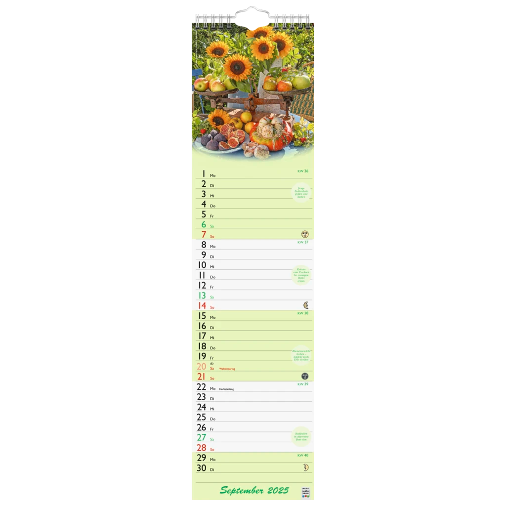 Bildkalender '25 „Günthers Gartenplaner“ | 120×470 mm