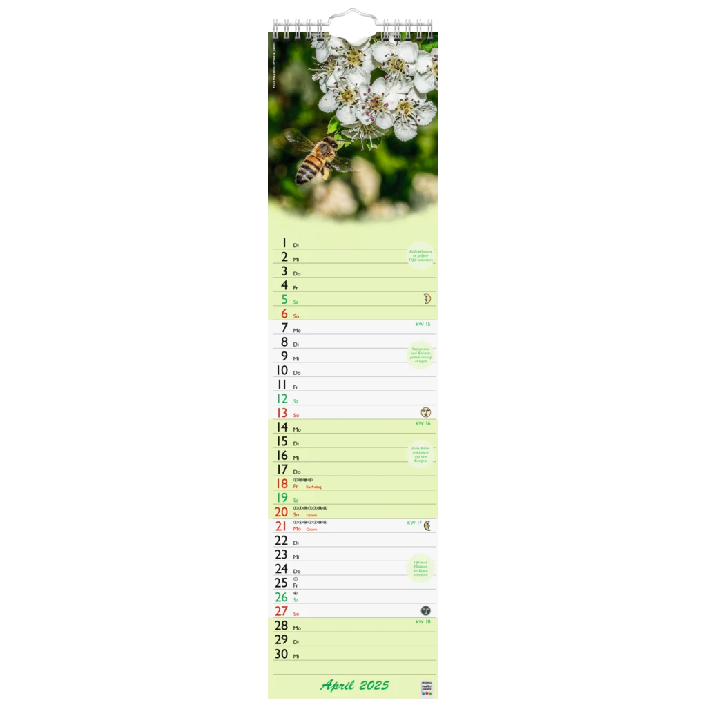 Bildkalender '25 „Günthers Gartenplaner“ | 120×470 mm