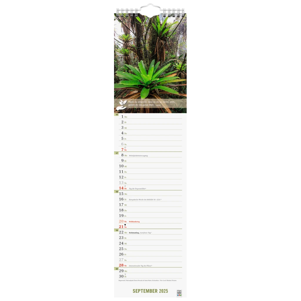 Bildkalender '25 „Good Life“ | 120×470 mm