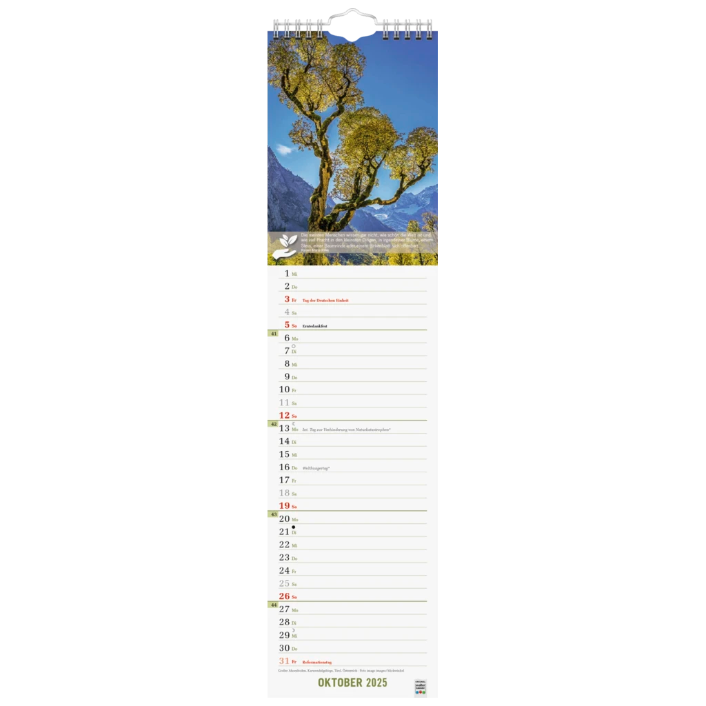 Bildkalender '25 „Good Life“ | 120×470 mm