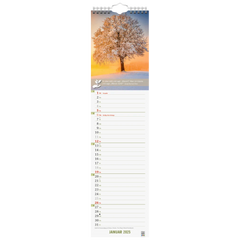 Bildkalender '25 „Good Life“ | 120×470 mm