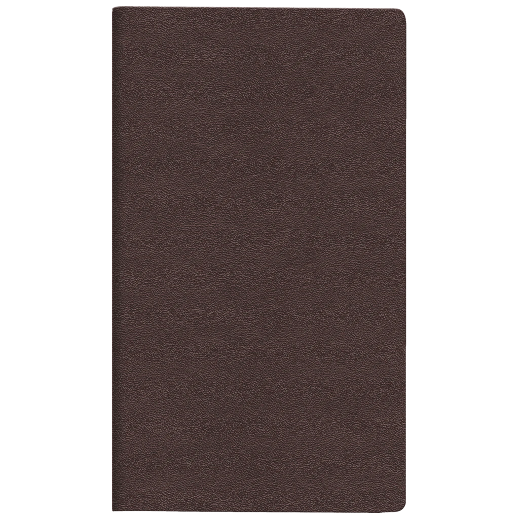 Taschenkalender Mod. Taschenplaner int. 2026 | A6, Leder, weinrot