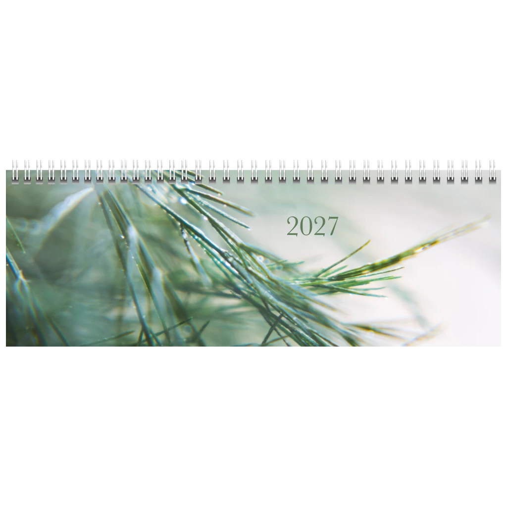 Querterminbuch Premium Young Line 2027 „Greeny“ | 297×105 mm, Papier