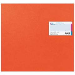Kassenbuch | 400×320 mm, 56 Seiten, Karton, orange