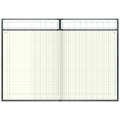Spaltenbuch mit Kopfleiste | A4, 192 Seiten, mit Seitenzahlen, 13 Spalten, Kunststoff, grau