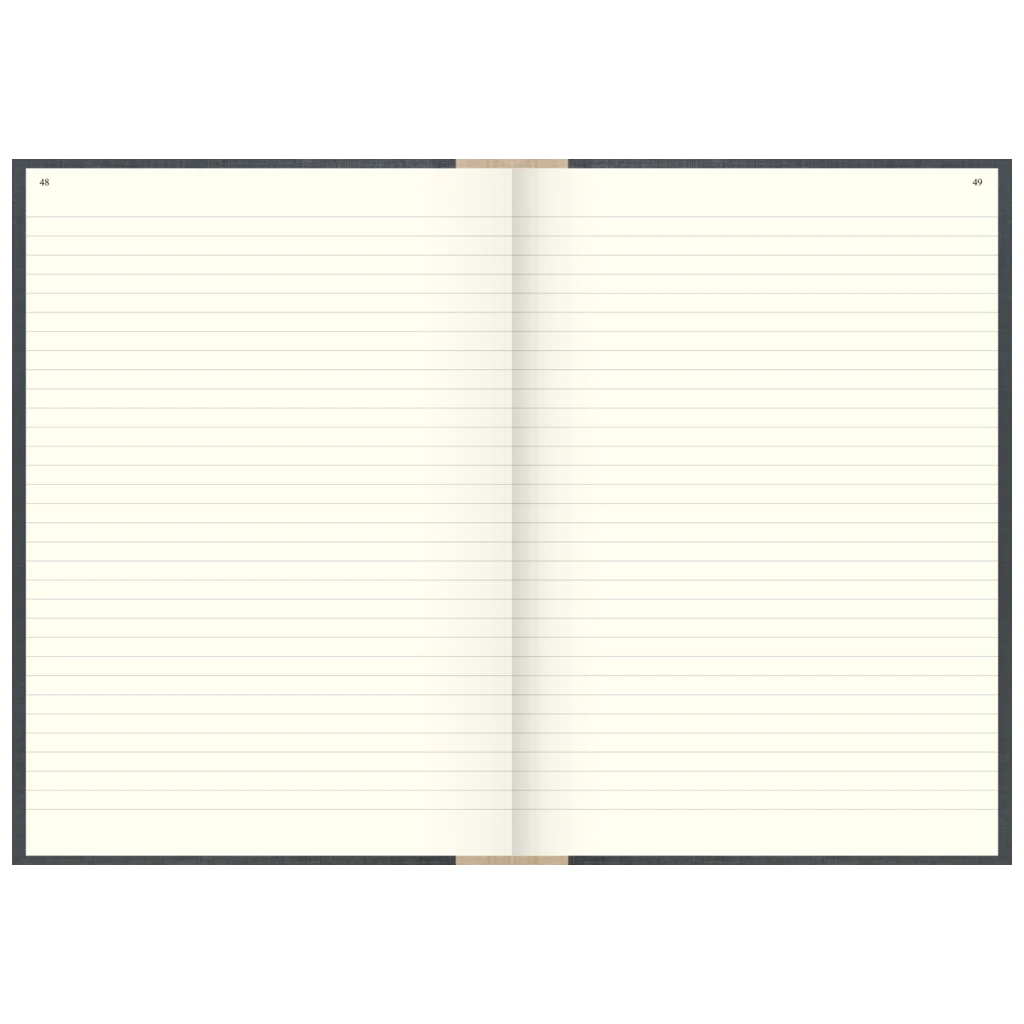 Geschäftsbuch | A4, 384 Seiten, mit Seitenzahlen, liniert, Kunststoff, grau