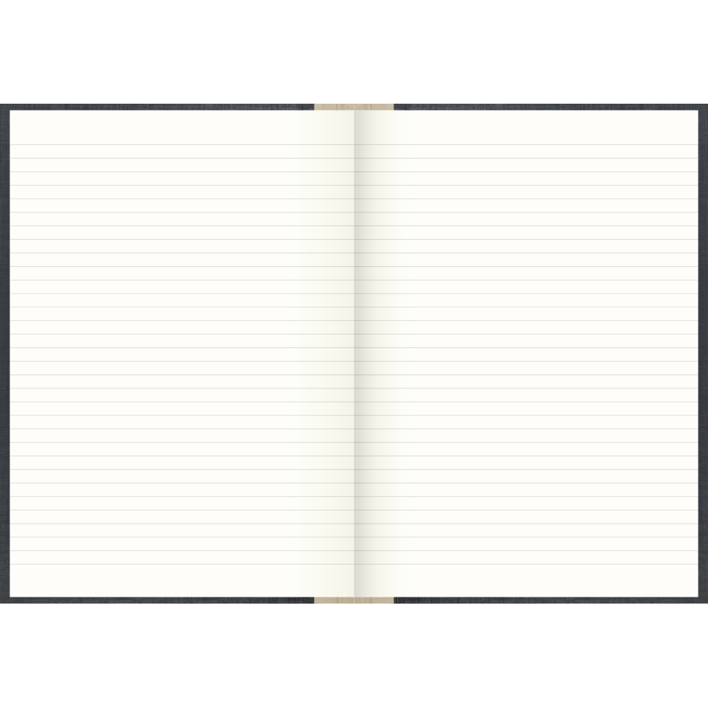 Geschäftsbuch, A4, 240 Blatt / 480 Seiten, liniert, Deckenband, 80 g/m², grau