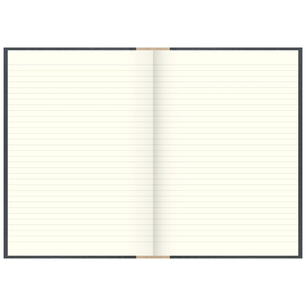 Geschäftsbuch | A4, 480 Seiten, mit Seitenzahlen, liniert, Kunststoff, grau