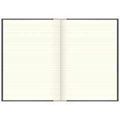 Geschäftsbuch | A4, 480 Seiten, mit Seitenzahlen, liniert, Kunststoff, grau