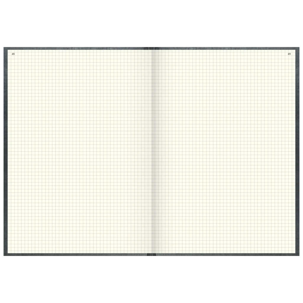 Geschäftsbuch | A4, 192 Seiten, mit Seitenzahlen, kariert, Kunststoff, grau