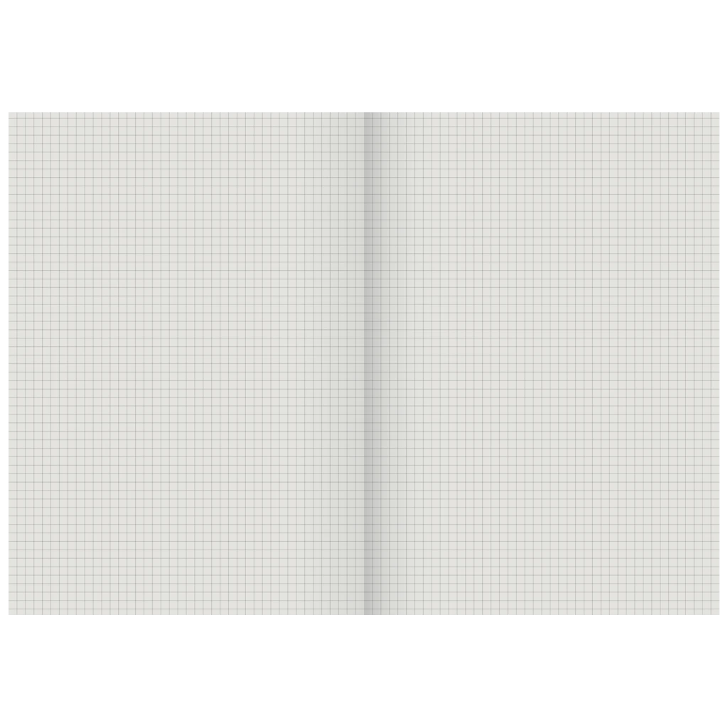 Geschäftsbuch | A4, 192 Seiten, kariert, Karton