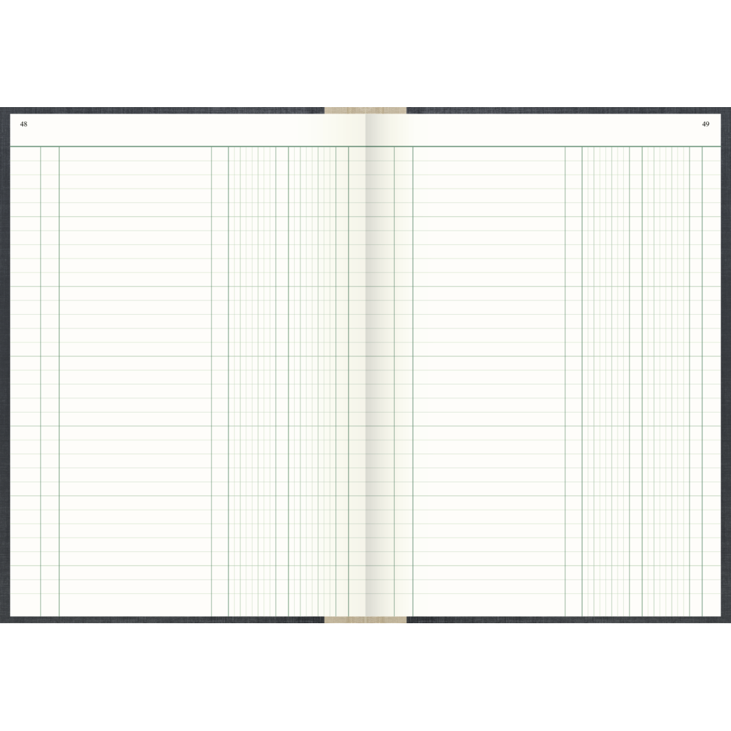 Spaltenbuch, A4, 192 Blatt / 384 Seiten, Spaltenschema, Deckenband, 80 g/m², grau