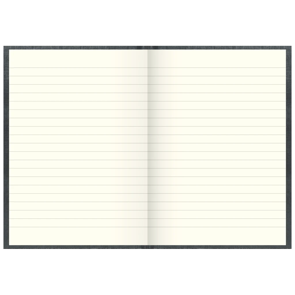 Geschäftsbuch | A5, 288 Seiten, liniert, Kunststoff, grau