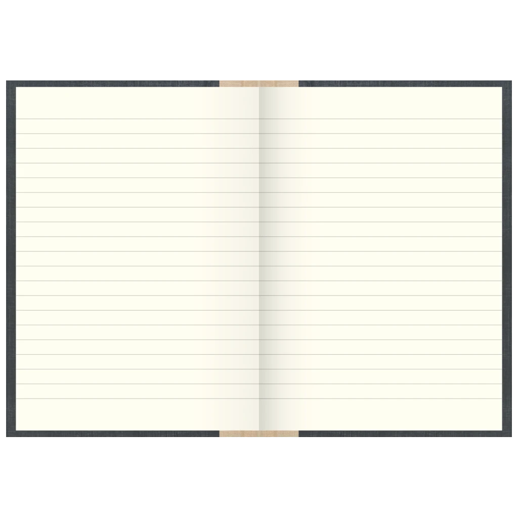 Geschäftsbuch | A5, 384 Seiten, liniert, Kunststoff, grau