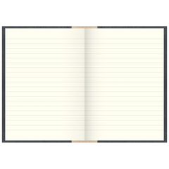 Geschäftsbuch | A5, 384 Seiten, liniert, Kunststoff, grau