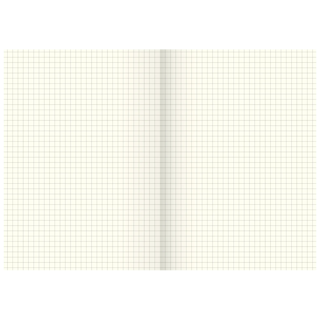 Geschäftsbuch | A5, 80 Seiten, kariert, Karton, magenta/hellblau