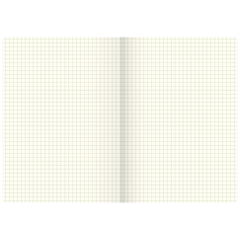 Geschäftsbuch | A5, 80 Seiten, kariert, Karton, magenta/hellblau